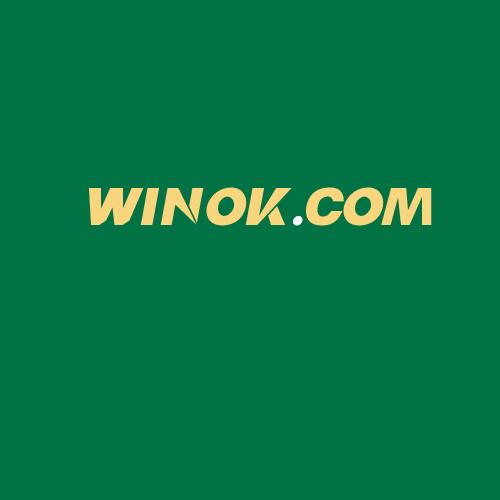 Logo da WINOK